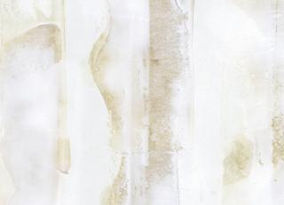 Фото - Обои Holland & Sherry O&A Caledonia Collection - 428308>