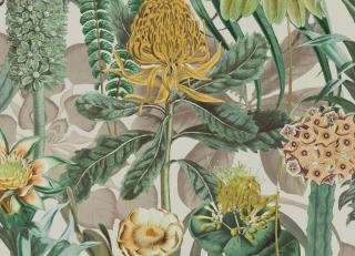 Фото - Обои Omexco Birds of Paradise - 611787>