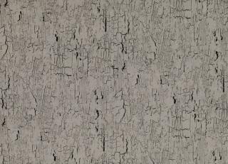 Фото - Ткани Black Edition Kansai Prints - 541426>