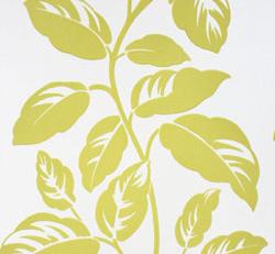 Фото - Обои Nina Campbell Birdcage Walk - 176505>