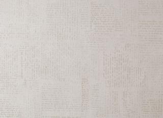 Фото - Обои Caselio Curiosity - 223599>