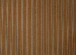 Фото - Ткани Foresti Home Collection Velluto a coste small - 563364>