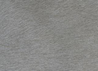 Фото - Обои Elitis Indomptee - 377179>