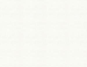 Фото - Ткани Ian Mankin Natural Plains - 385653>