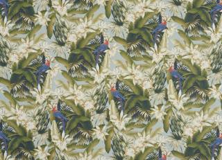 Фото - Обои Pierre Frey Rituel - 409586>