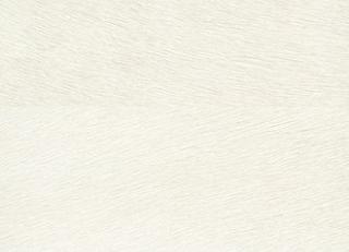 Фото - Обои Elitis Indomptee - 377177>