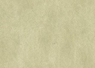 Фото - Обои Osborne & Little Metropolis Vinyls 3 - 409350>