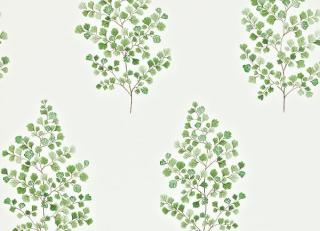 Фото - Обои Sanderson Maycott - 188072>