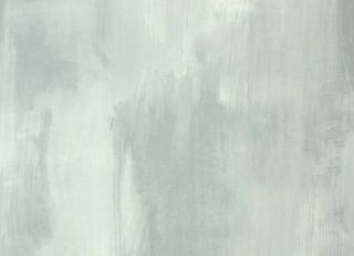 Фото - Обои Designers Guild Shanghai Garden - 250663>