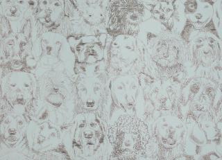 Фото - Обои Pierre Frey The Cult of Beauty - 537691>