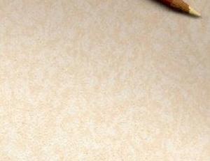 Фото - Обои Newmor Axis - 188948>