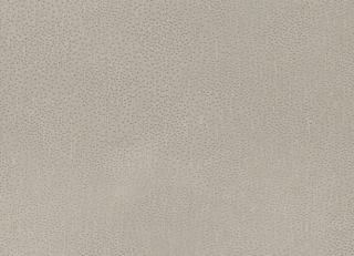 Фото - Ткани Villa Nova Ceto Sheers - 472163>