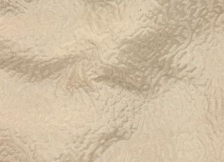 Фото - Ткани Loris Zanca Savoia Velvet - 361670>