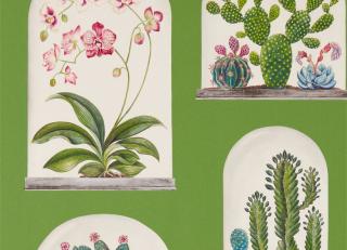 Фото - Обои Sanderson Glasshouse - 410805>