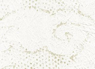 Фото - Обои Elitis Washi - 377687>