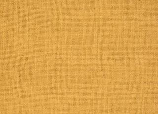 Фото - Ткани Gaston Y Daniela - 553449>