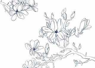 Фото - Обои Casadeco Idylle - 553312>