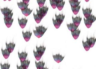 Фото - Обои Tres Tintas Art Gallery - 197748>