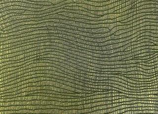 Фото - Обои Epoca Wallcoverings Amazon River - 551582>