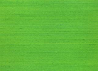 Фото - Ткани Designers Guild Chambord - 282662>