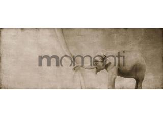 Фото - Обои Momenti Animal Collection - 317659>