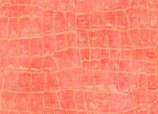 Фото - Обои Seabrook Tortuga - 434163>