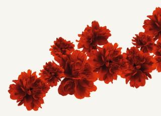 Фото - Обои Wall&Deco Life - 199988>