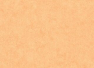 Фото - Обои Caselio Beton 2 - 631918>