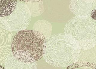 Фото - Обои Ango Linea Graphic - 330687>