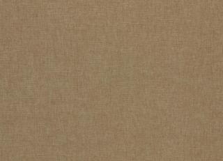 Фото - Ткани Clarke&Clarke Paradiso - 600245>