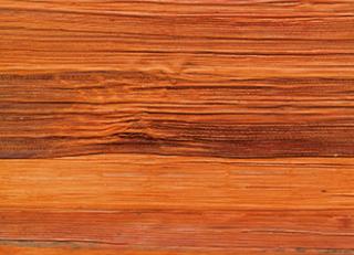 Фото - Обои Elitis Robinson - 262312>