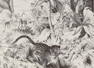 Фото - Обои Manuel Canovas Papiers Peints Vol 7 - 470780>