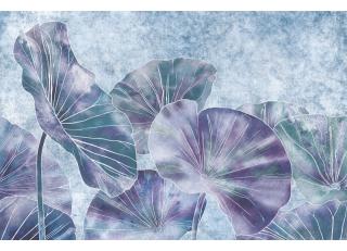 Фото - Обои Ortograf Grafika Natura - 477007>