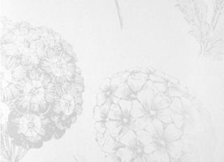 Фото - Обои Prestigious Textiles Neo - 183515>