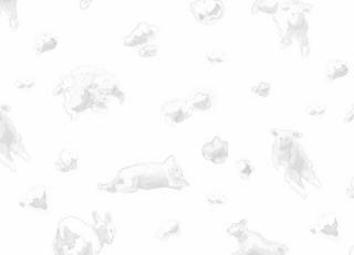 Фото - Обои KT Exclusive Tales - 347752>