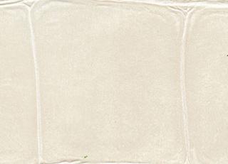 Фото - Обои Elitis Anguille - 257733>