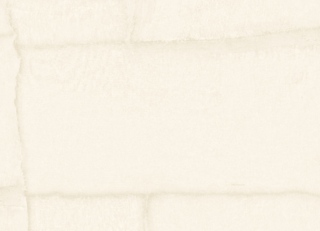 Фото - Обои Zambaiti Trussardi 8 - 624470>