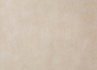 Фото - Обои Caselio Curiosity - 223620>