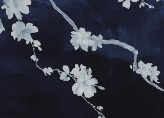 Фото - Обои Phillip Jeffries Haiku&Sakka - 519865>