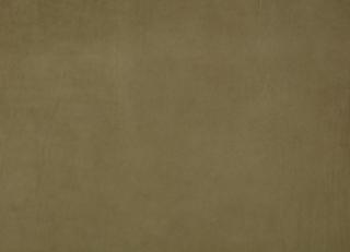 Фото - Ткани Zinc Leather Volume I - 565568>