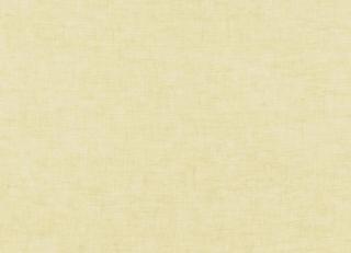 Фото - Ткани Kvadrat Heavy Linen - 593654>