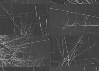 Фото - Обои Wall&Deco CODE 2017 CONTEMPORARY - 464451>