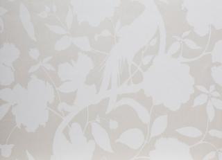 Фото - Обои Equipo DRT Saraceno - 405659>