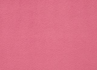 Фото - Ткани Lelievre Essentiel - 381491>