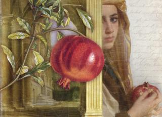 Фото - Обои Ortograf Эми Стюарт - 479994>