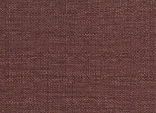 Фото - Обои Sirpi Forest - 454604>