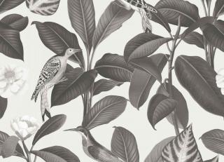 Фото - Обои Coordonne Feria - 559081>