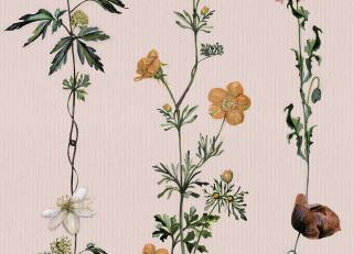 Фото - Обои Coordonne Naturae - 559397>