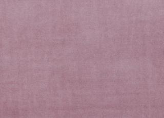 Фото - Ткани Clarke&Clarke Alvar - 295570>