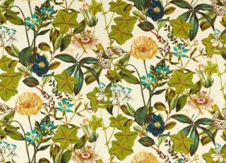 Фото - Ткани Clarke&Clarke Alfresco Indoor Outdoor Fabric - 577007>